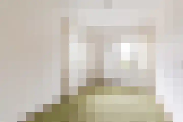 Brouwersgilde 6 Dronten thumbnail 22