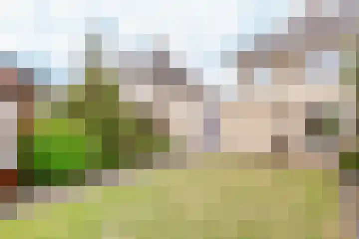 Brouwersgilde 6 Dronten thumbnail 30