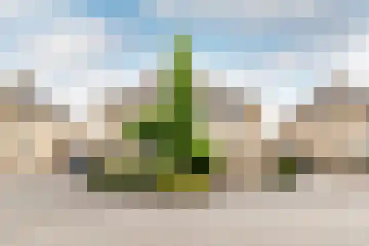Brouwersgilde 6 Dronten thumbnail 38