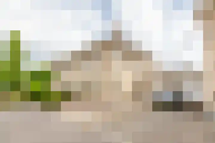 Brouwersgilde 6 Dronten thumbnail 39