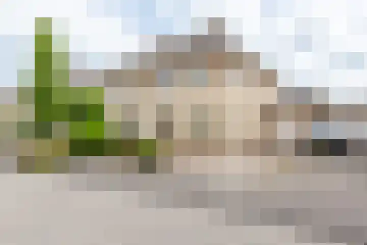 Brouwersgilde 6 Dronten thumbnail 5