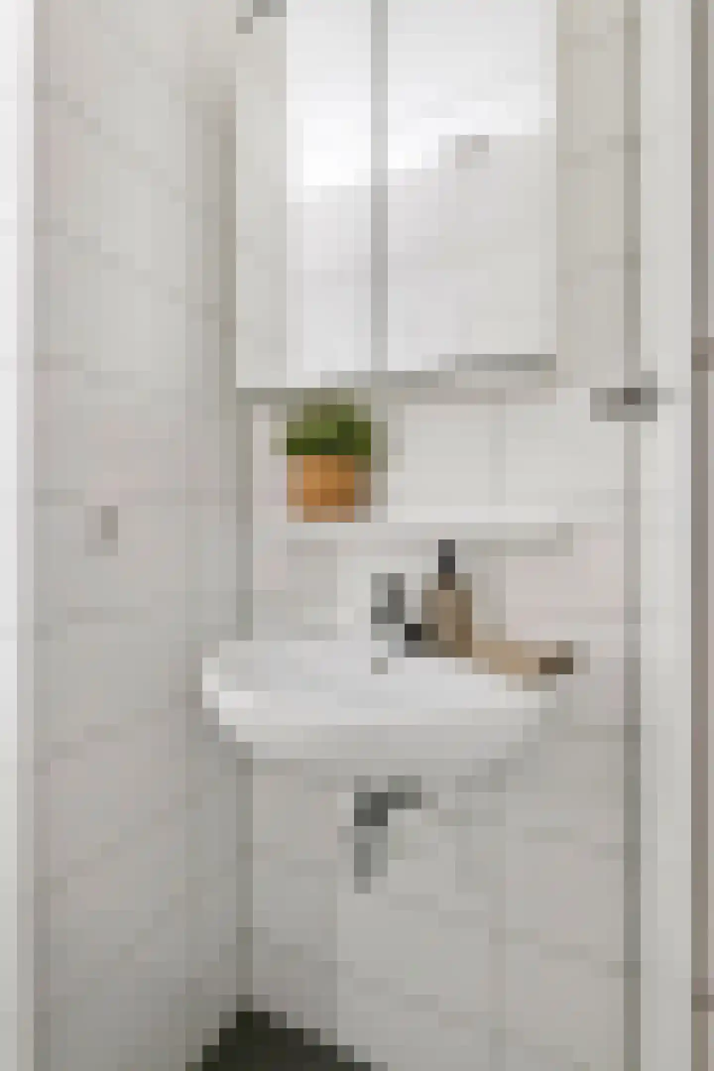 Brouwersgracht 103 Veenendaal thumbnail 19