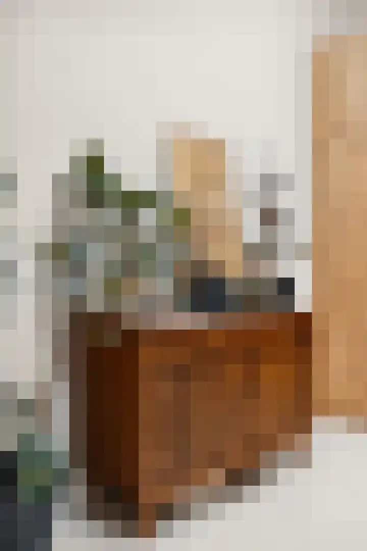 Brouwersgracht 108 Amsterdam thumbnail 32