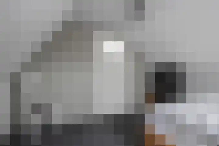 Brouwersgracht 11 Hasselt thumbnail 57