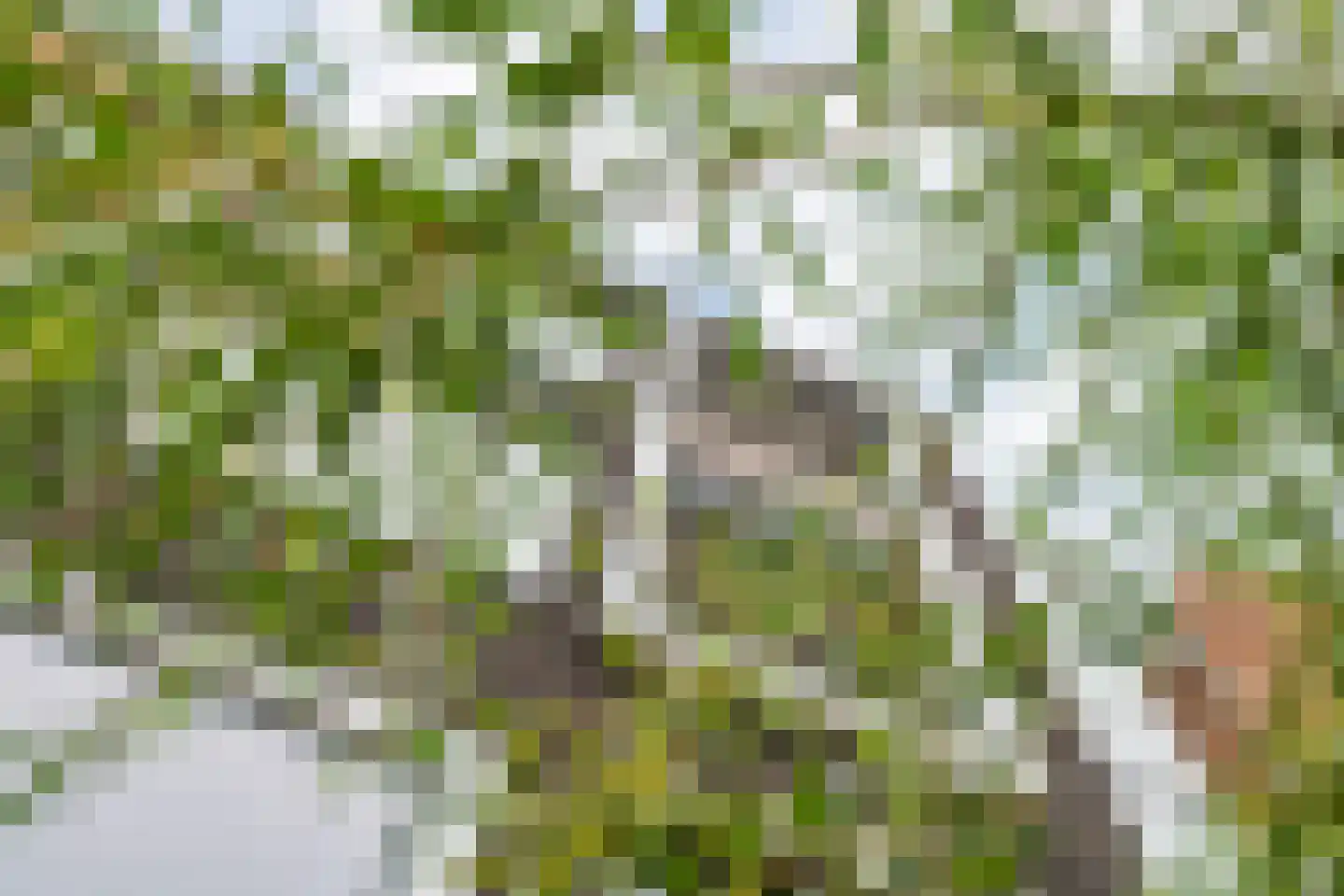 Brouwersgracht 113 Veenendaal thumbnail 28