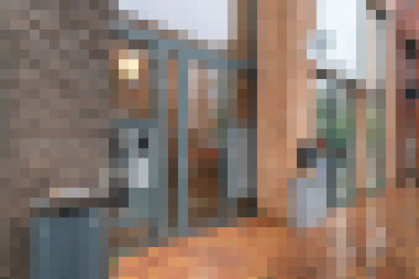 Brouwersgracht 113 Veenendaal thumbnail 4