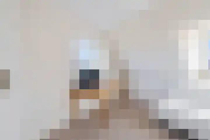 Brouwersgracht 121 3 Amsterdam thumbnail 20