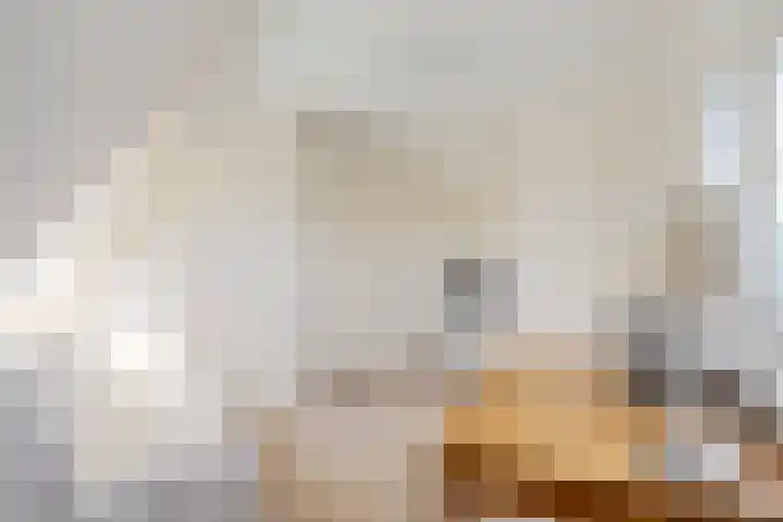 Brouwersgracht 121 3 Amsterdam thumbnail 21