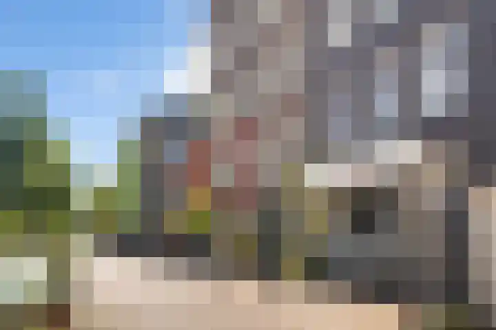 Brouwersgracht 121 3 Amsterdam thumbnail 4