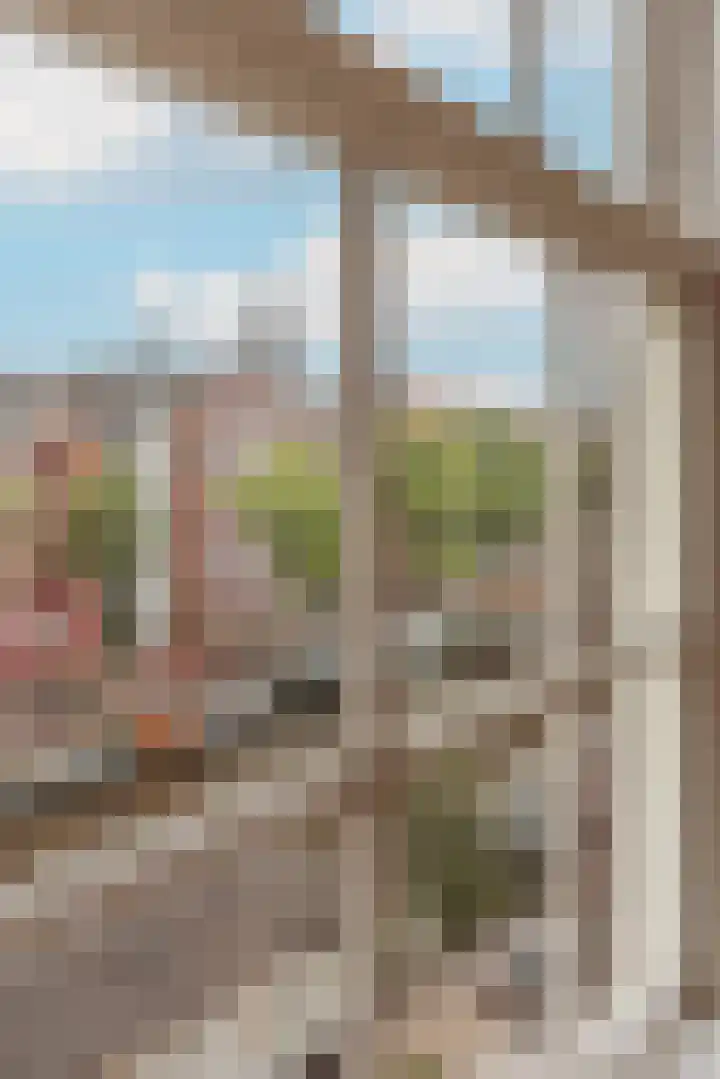 Brouwersgracht 121 3 Amsterdam thumbnail 5