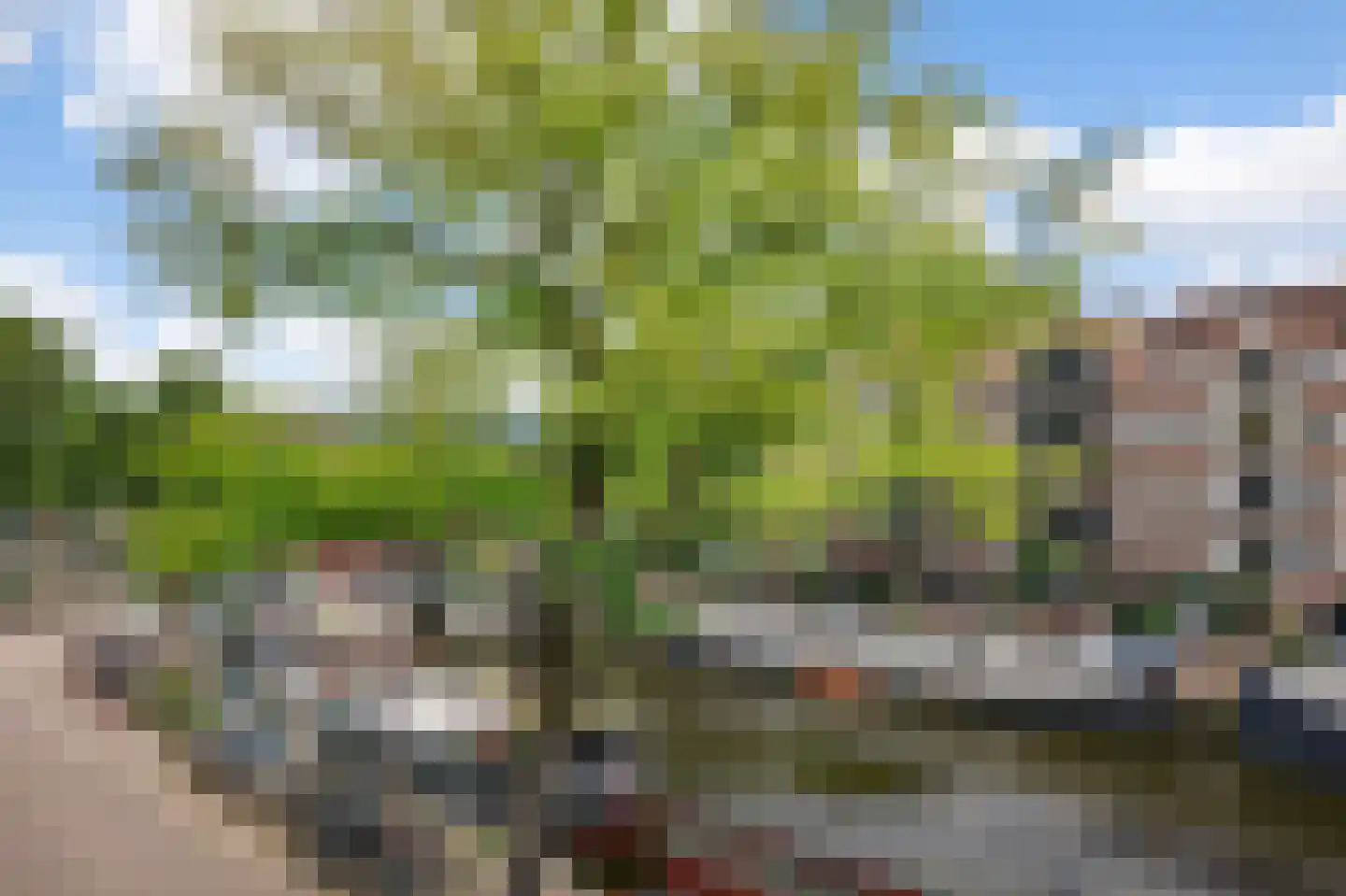 Brouwersgracht 129 1 Amsterdam thumbnail 31