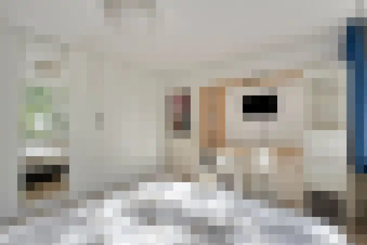 Brouwersgracht 13 Heerhugowaard thumbnail 38