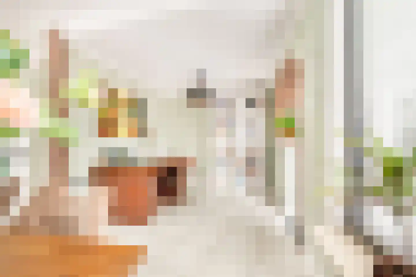 Brouwersgracht 15 Heerhugowaard thumbnail 13