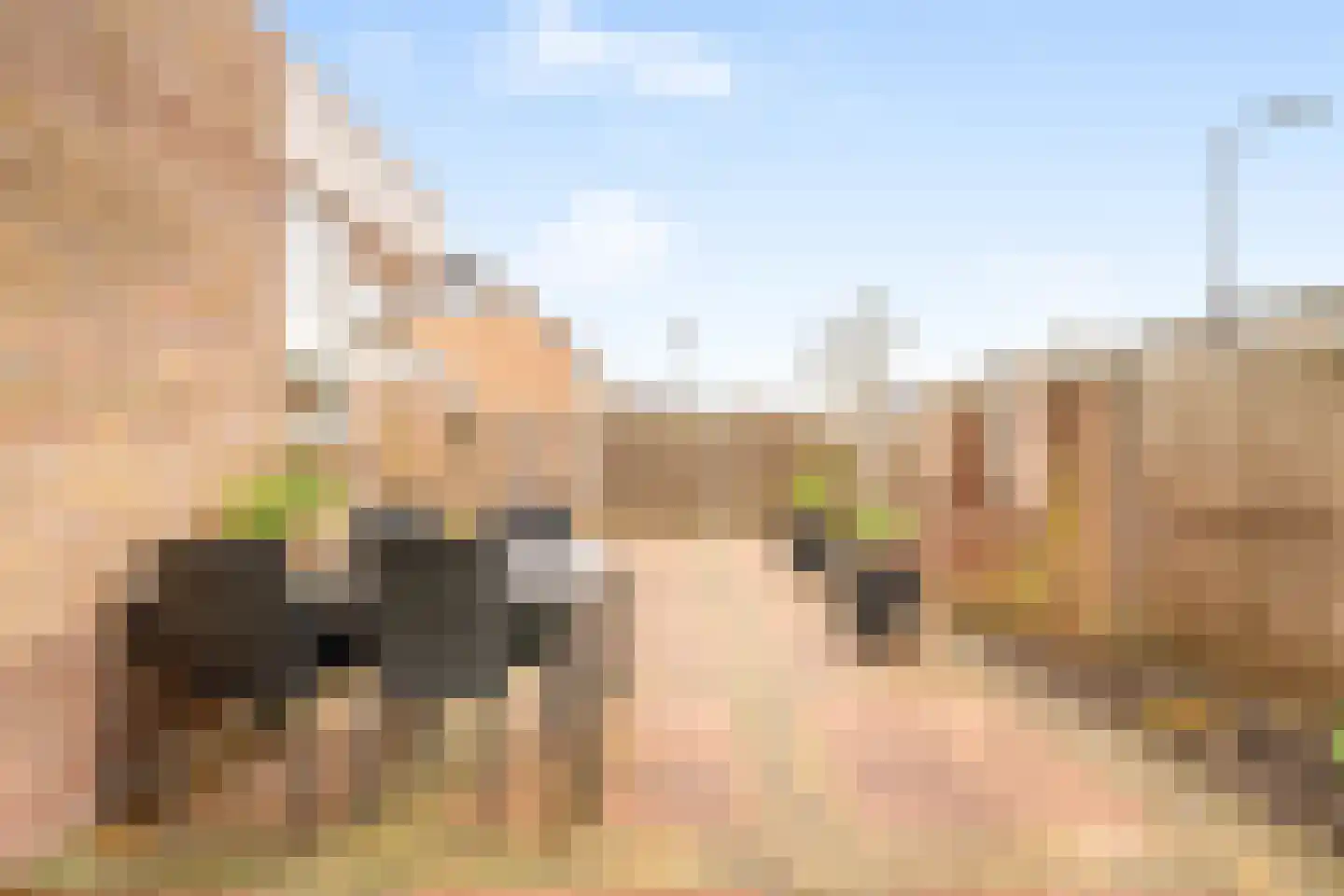 Brouwersgracht 15 Heerhugowaard thumbnail 18