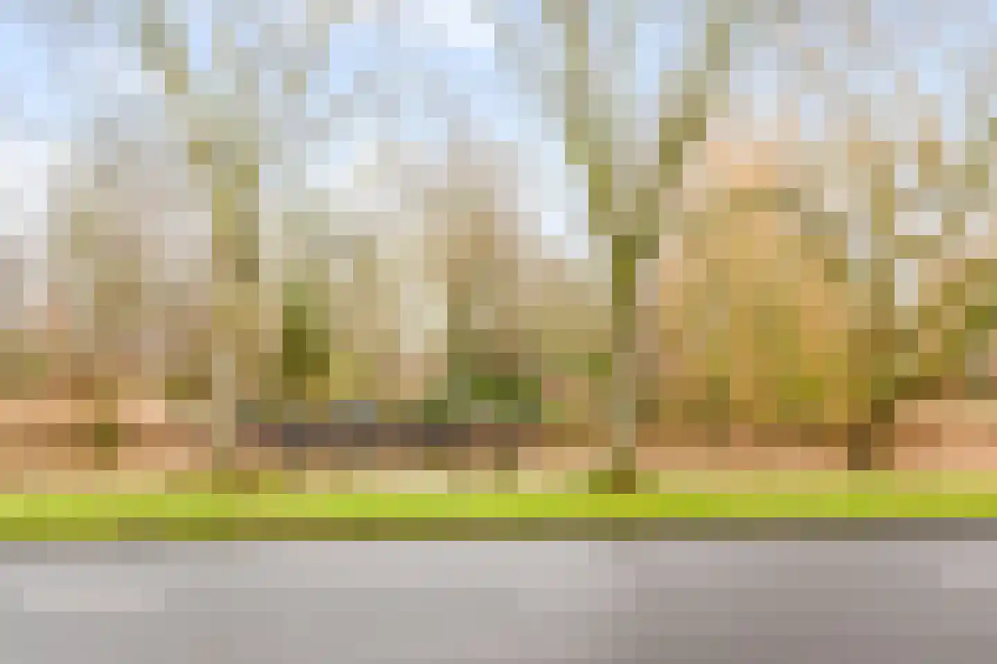 Brouwersgracht 15 Heerhugowaard thumbnail 33