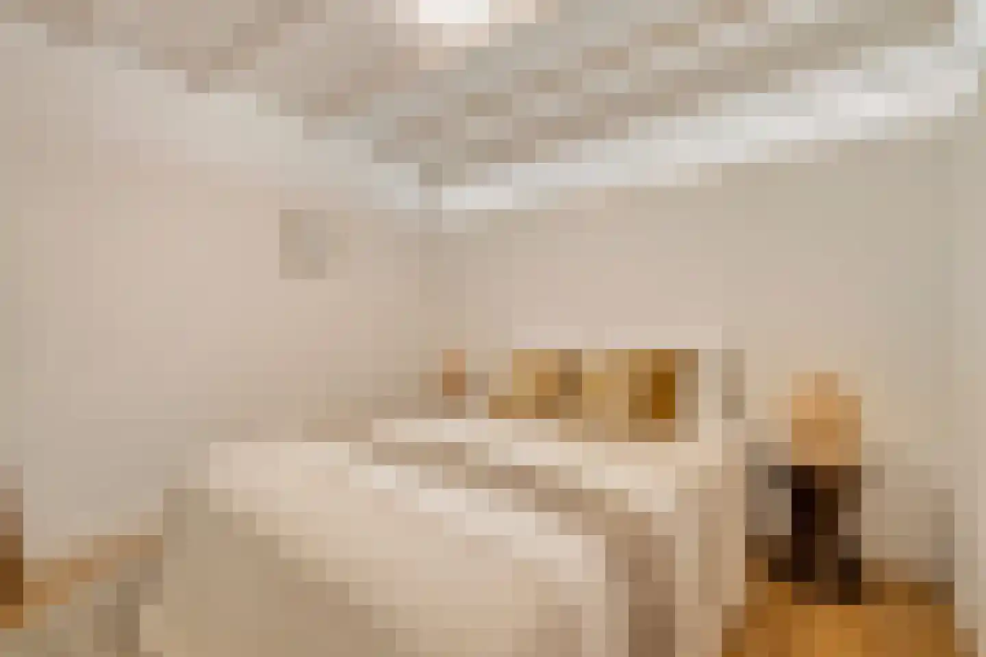 Brouwersgracht 155 A Amsterdam thumbnail 25