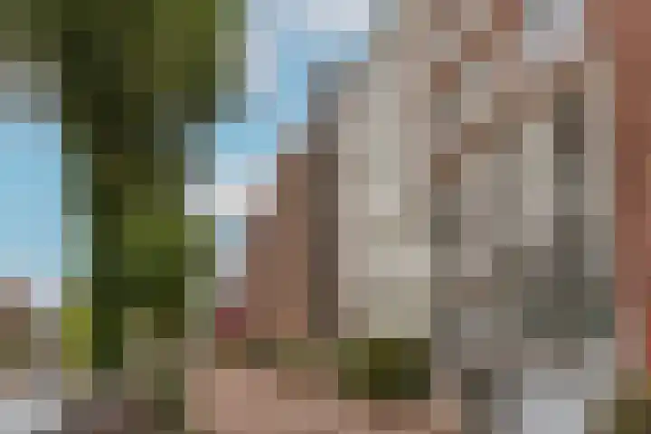 Brouwersgracht 172 L Amsterdam thumbnail 42