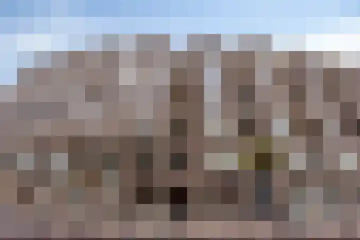 Brouwersgracht 179 Veenendaal thumbnail 29