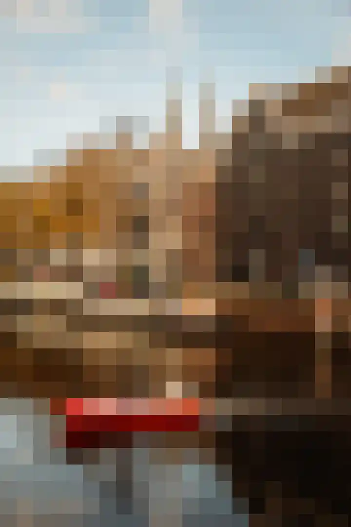 Brouwersgracht 182 C Amsterdam thumbnail 26