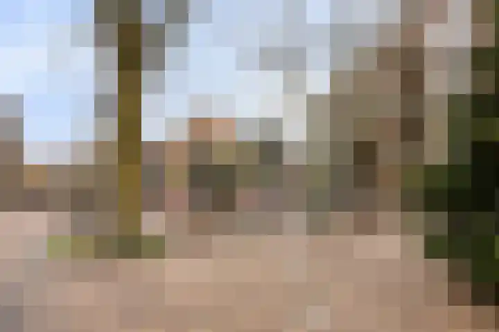 Brouwersgracht 184 Veenendaal thumbnail 30