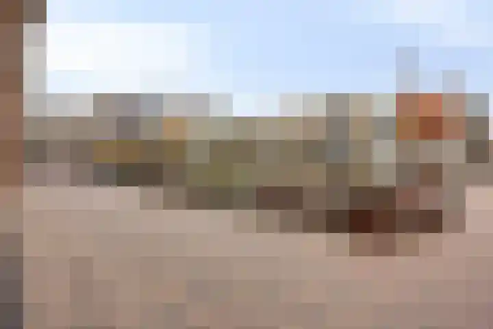 Brouwersgracht 184 Veenendaal thumbnail 31