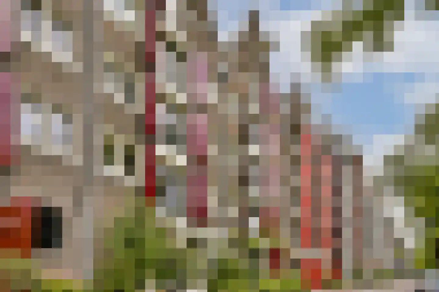 Brouwersgracht 188 C Amsterdam thumbnail 26