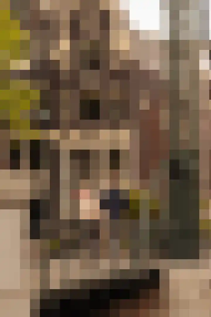 Brouwersgracht 188 E Amsterdam thumbnail 7
