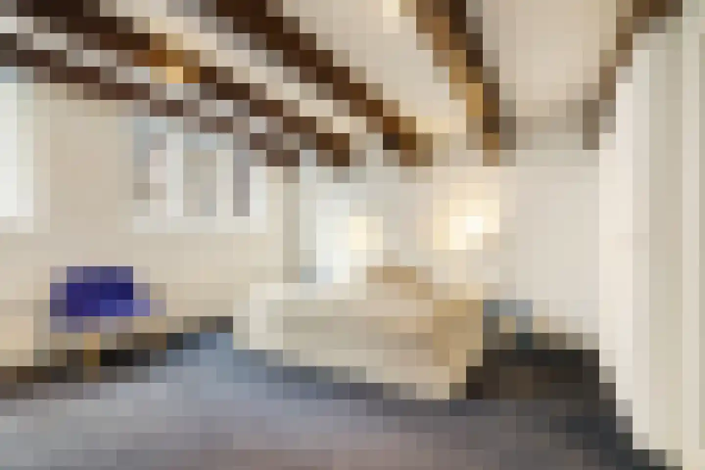 Brouwersgracht 194 E Amsterdam thumbnail 24