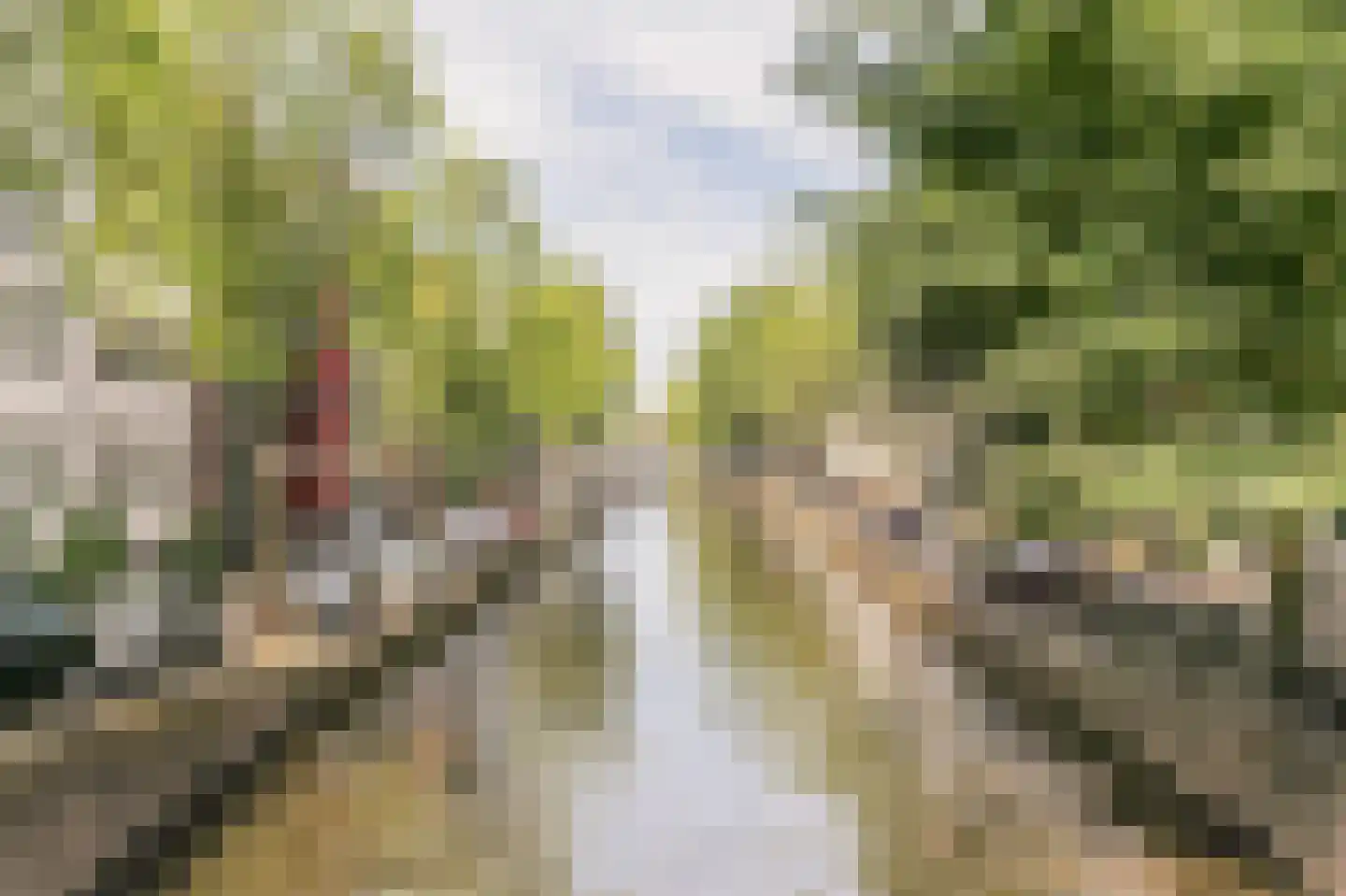 Brouwersgracht 2 C Amsterdam thumbnail 25
