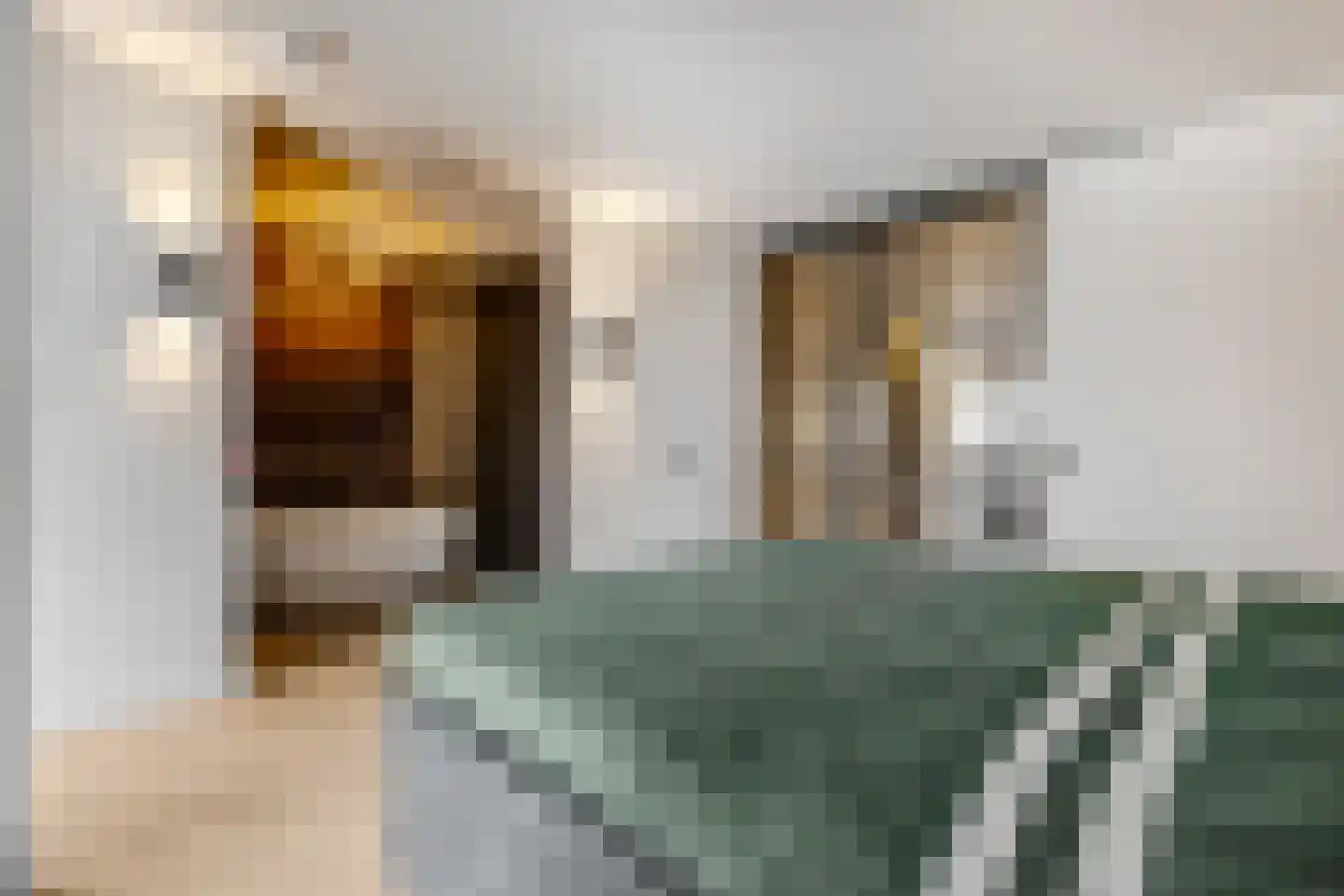 Brouwersgracht 207 Veenendaal thumbnail 13