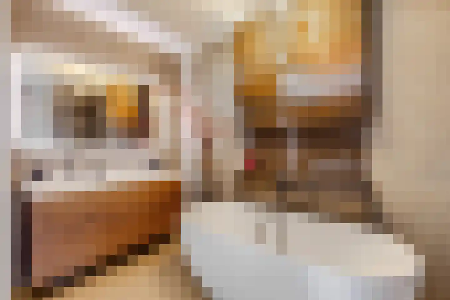 Brouwersgracht 207 Veenendaal thumbnail 5