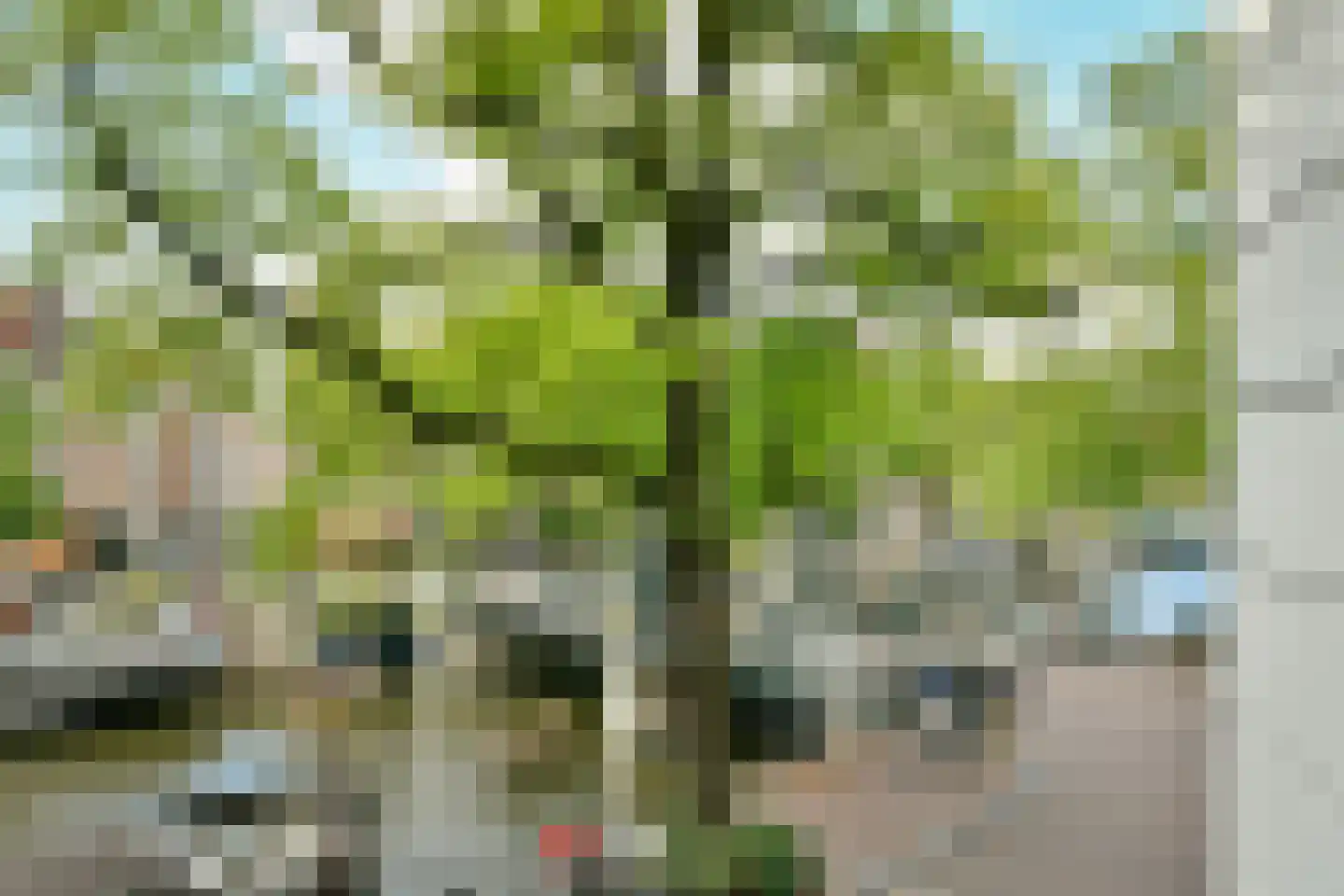 Brouwersgracht 210 B Amsterdam thumbnail 10