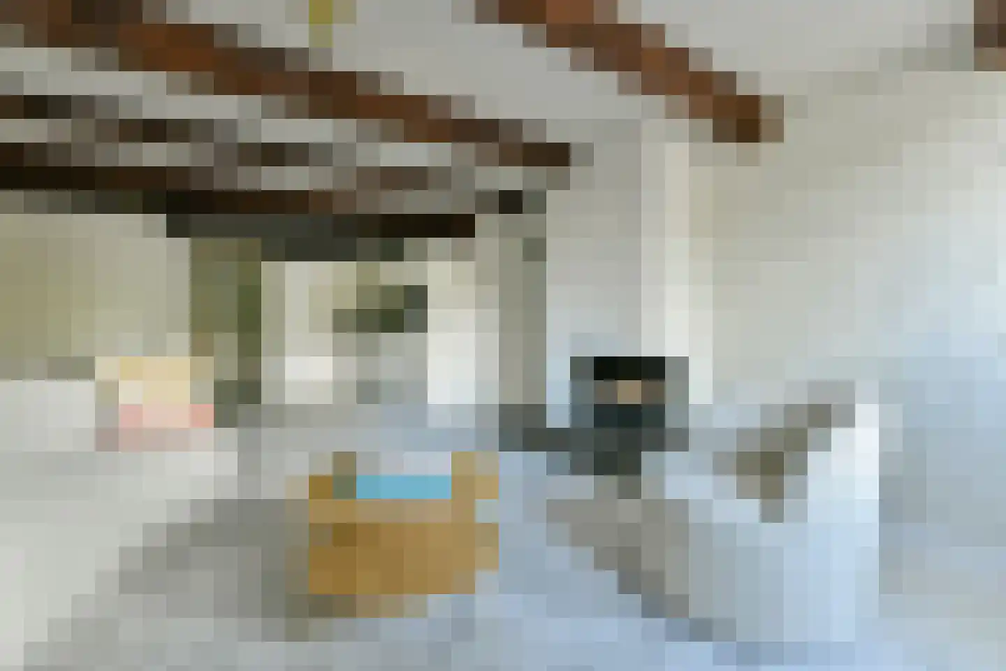 Brouwersgracht 210 B Amsterdam thumbnail 12
