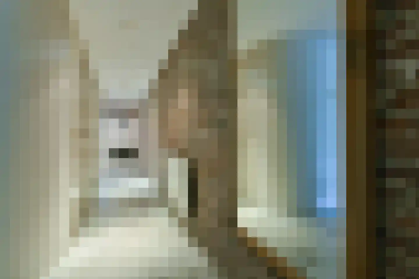 Brouwersgracht 210 B Amsterdam thumbnail 16