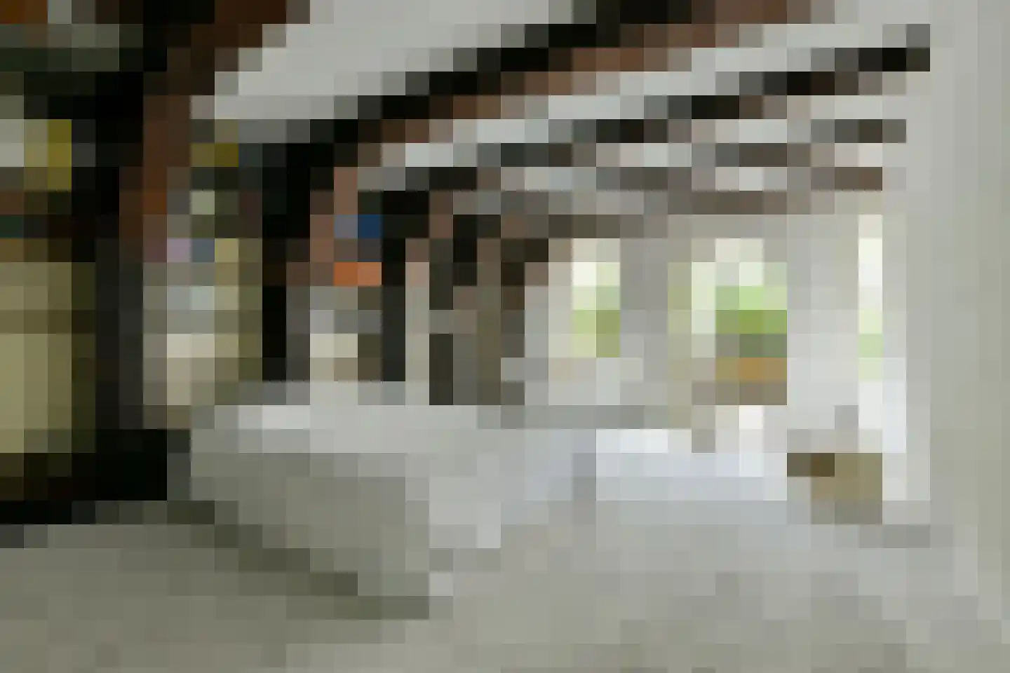 Brouwersgracht 210 B Amsterdam thumbnail 23