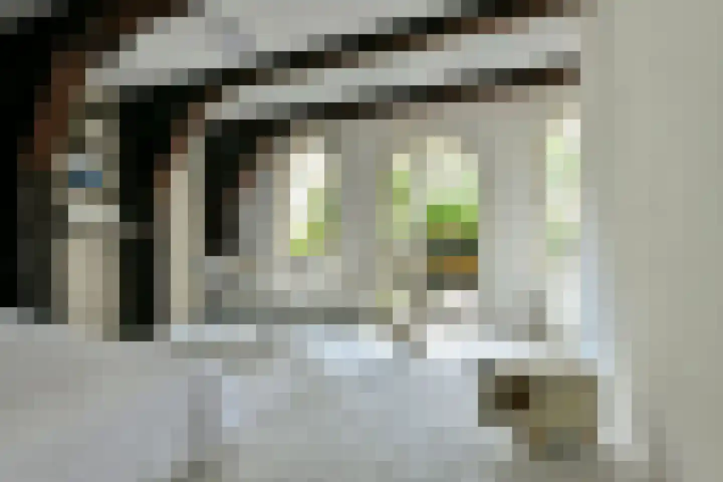 Brouwersgracht 210 B Amsterdam thumbnail 25