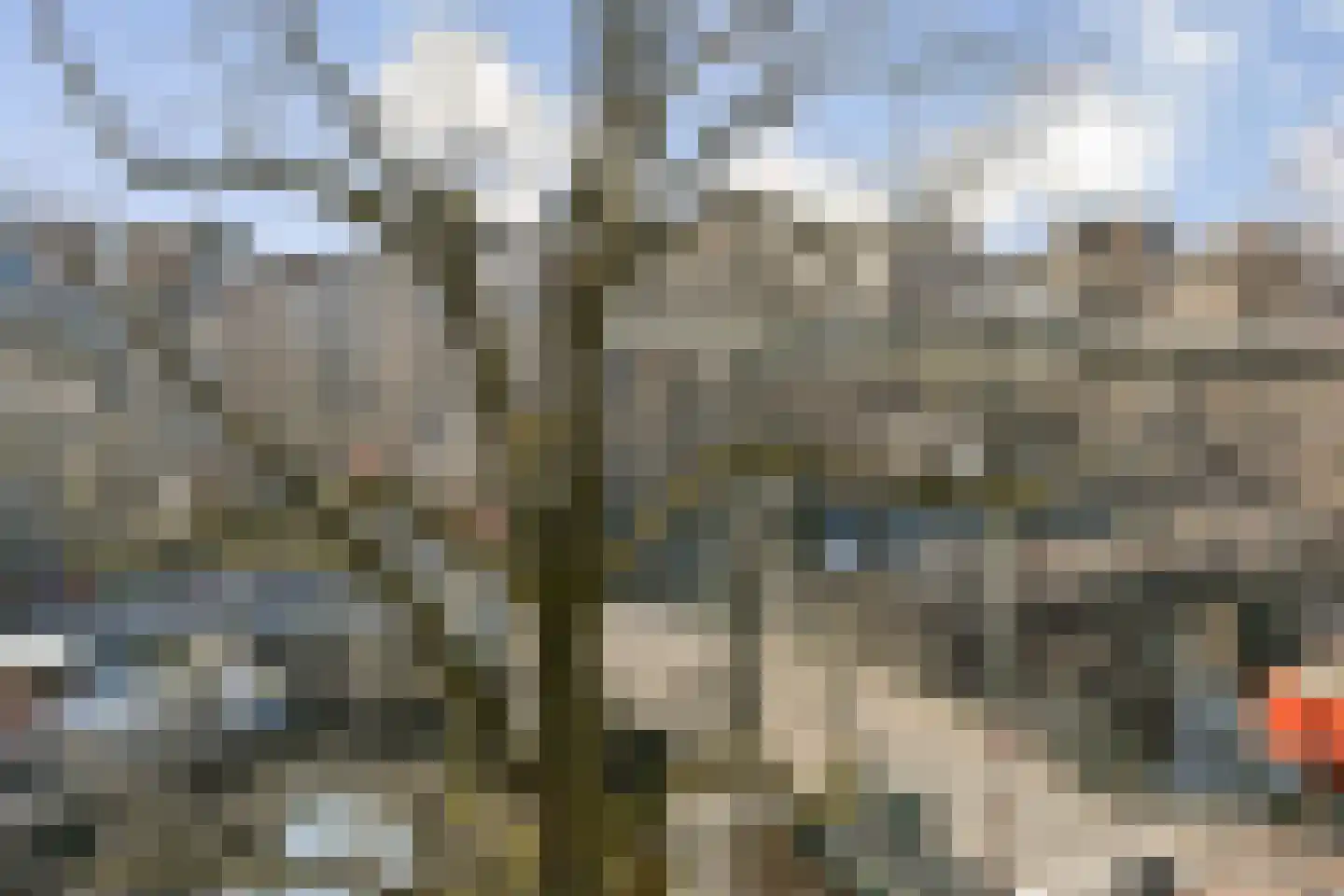 Brouwersgracht 212 A Amsterdam thumbnail 22