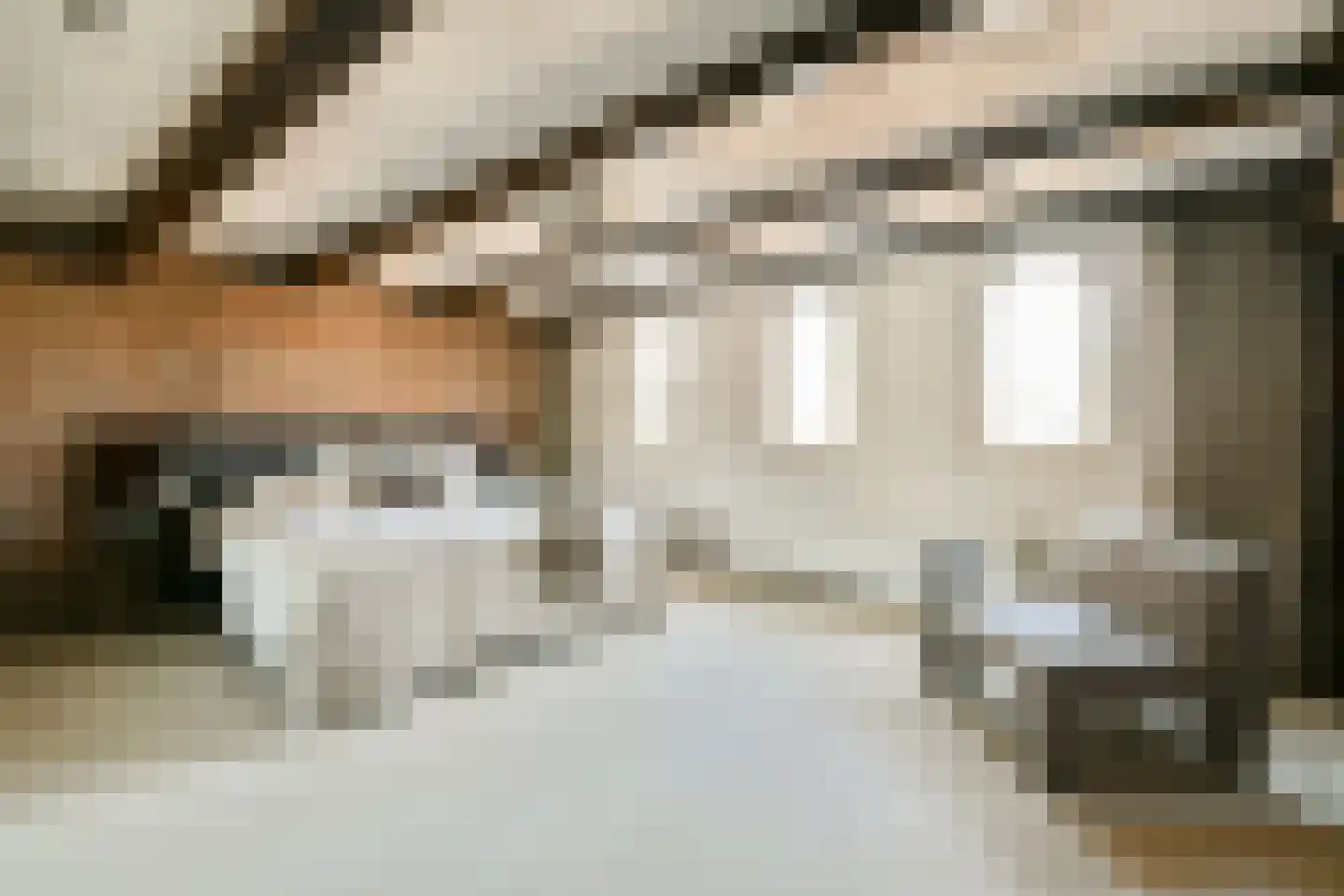 Brouwersgracht 212 E Amsterdam thumbnail 13