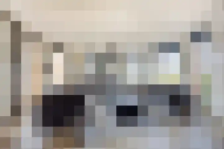 Brouwersgracht 212 Veenendaal thumbnail 18