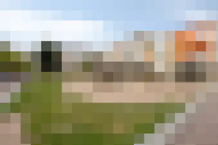 Brouwersgracht 212 Veenendaal thumbnail 38