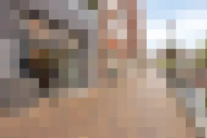 Brouwersgracht 212 Veenendaal thumbnail 40