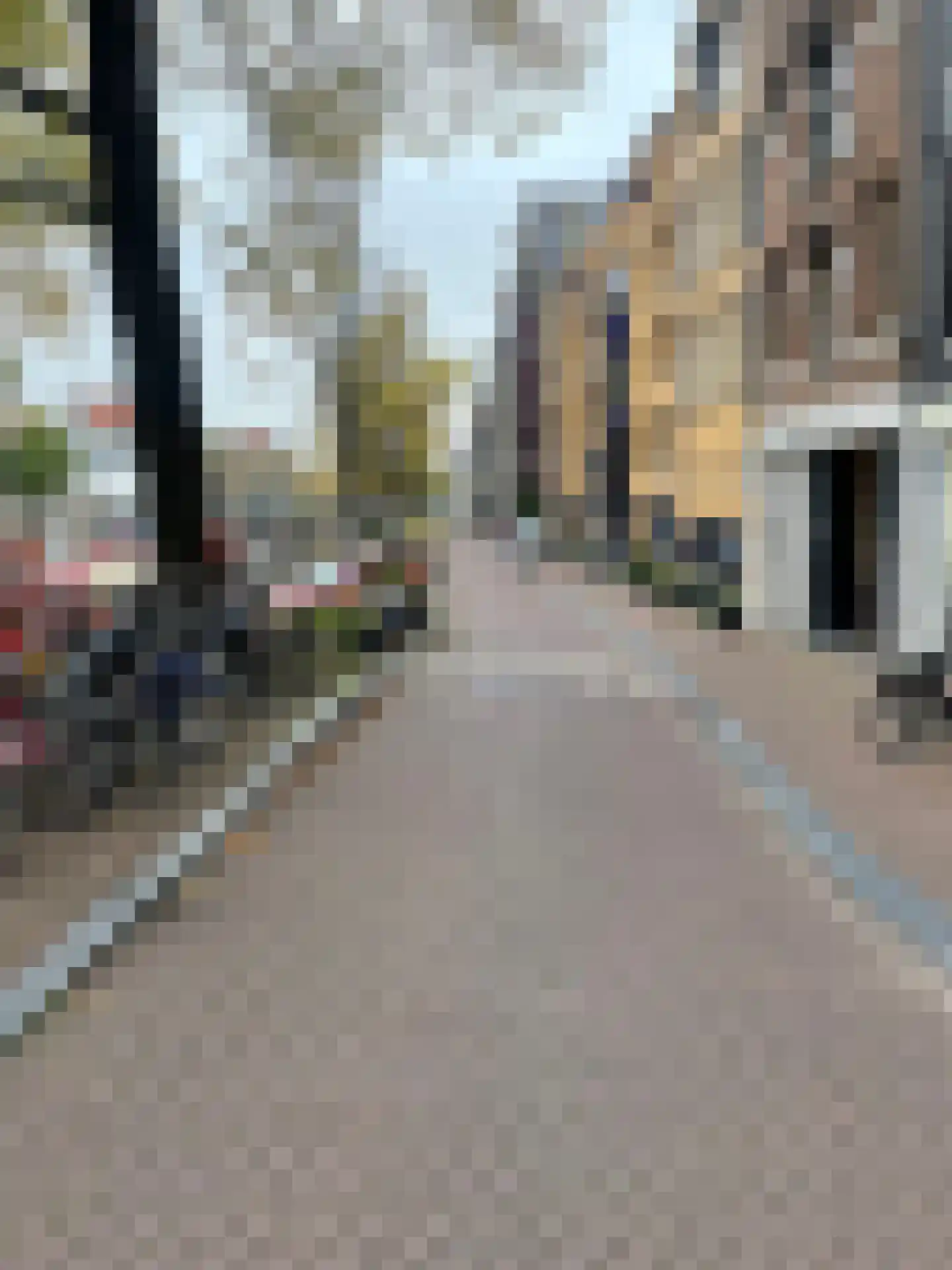 Brouwersgracht 230 A Amsterdam thumbnail 7