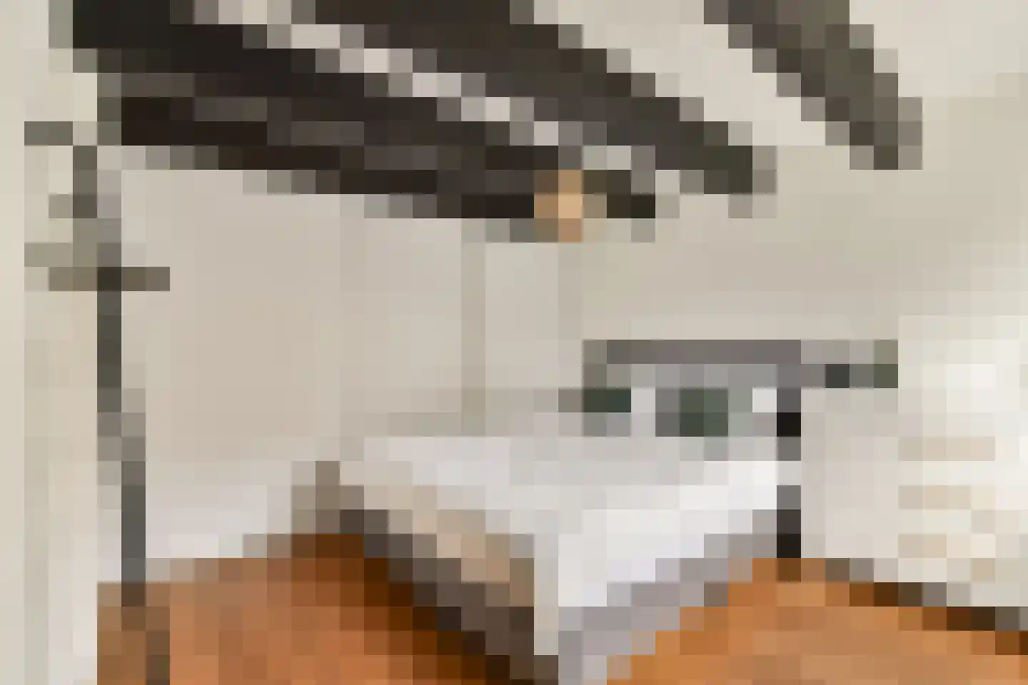 Brouwersgracht 232 H Amsterdam thumbnail 12