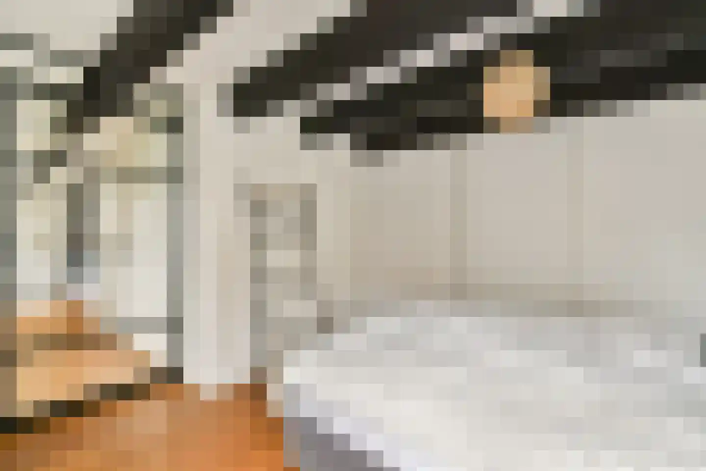 Brouwersgracht 232 H Amsterdam thumbnail 13
