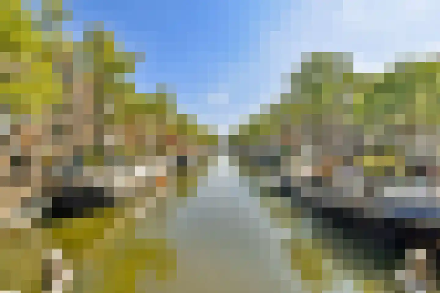 Brouwersgracht 232 H Amsterdam thumbnail 20