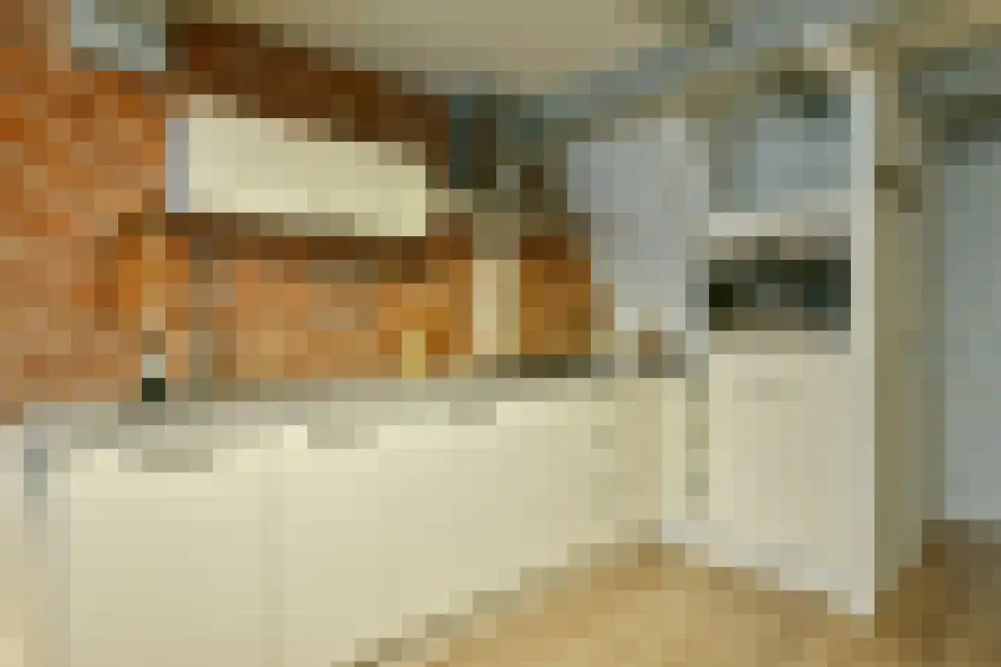 Brouwersgracht 254 E Amsterdam thumbnail 10