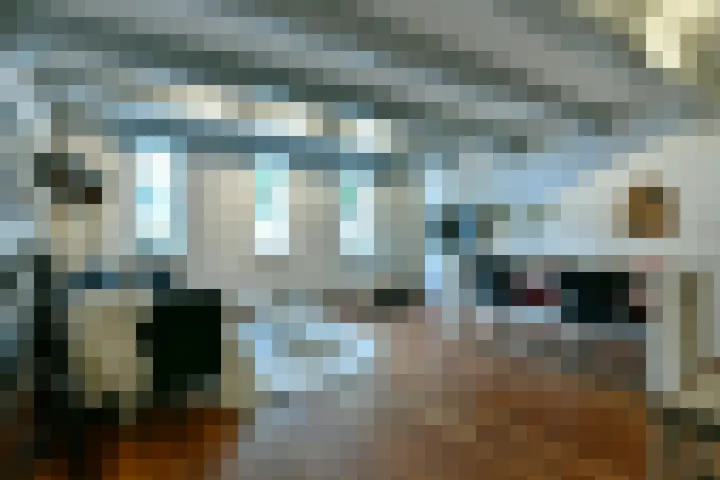 Brouwersgracht 254 E Amsterdam thumbnail 13