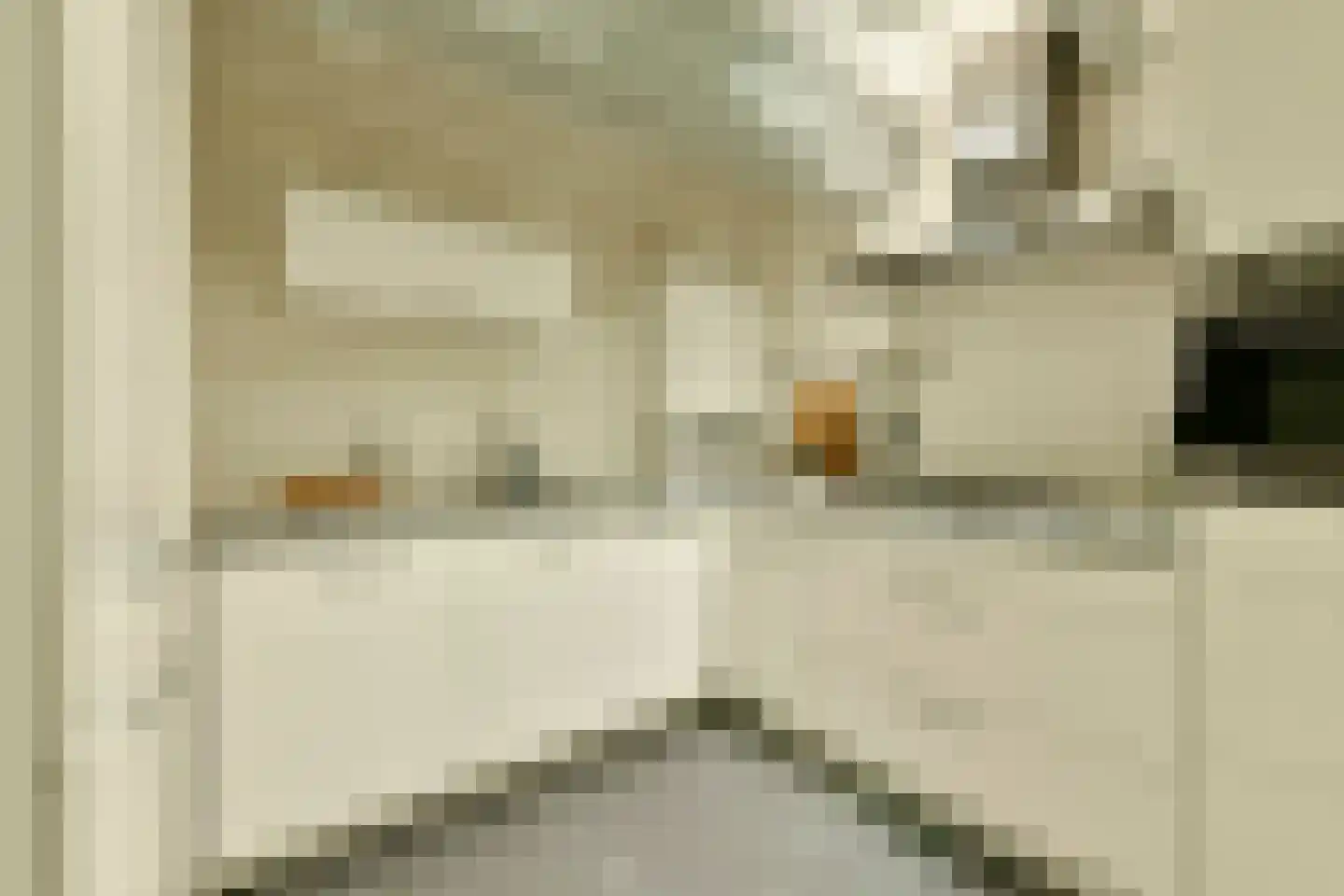 Brouwersgracht 254 E Amsterdam thumbnail 16