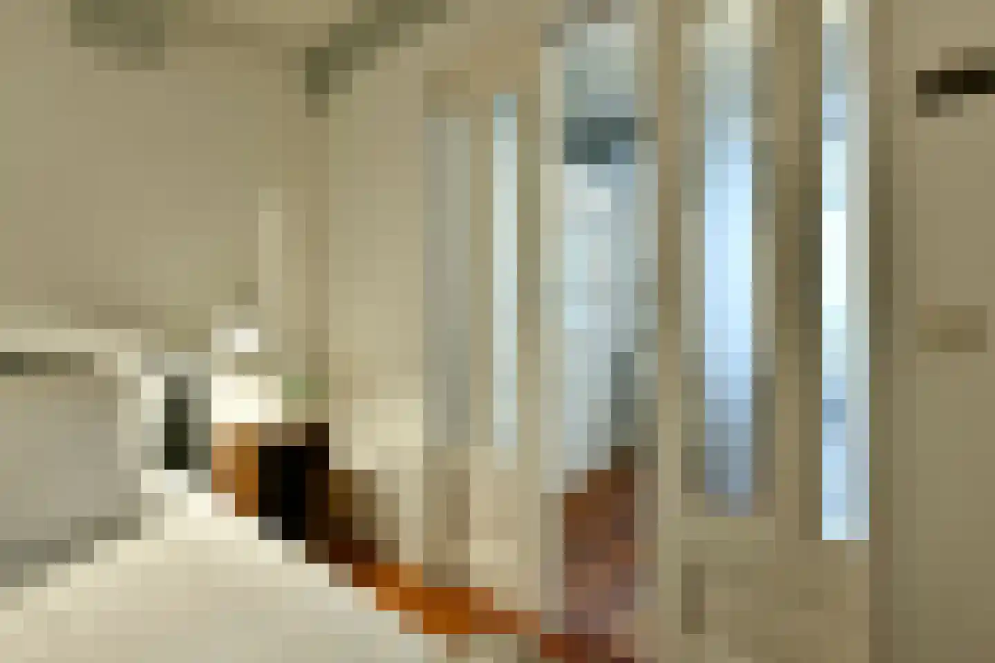 Brouwersgracht 254 E Amsterdam thumbnail 17
