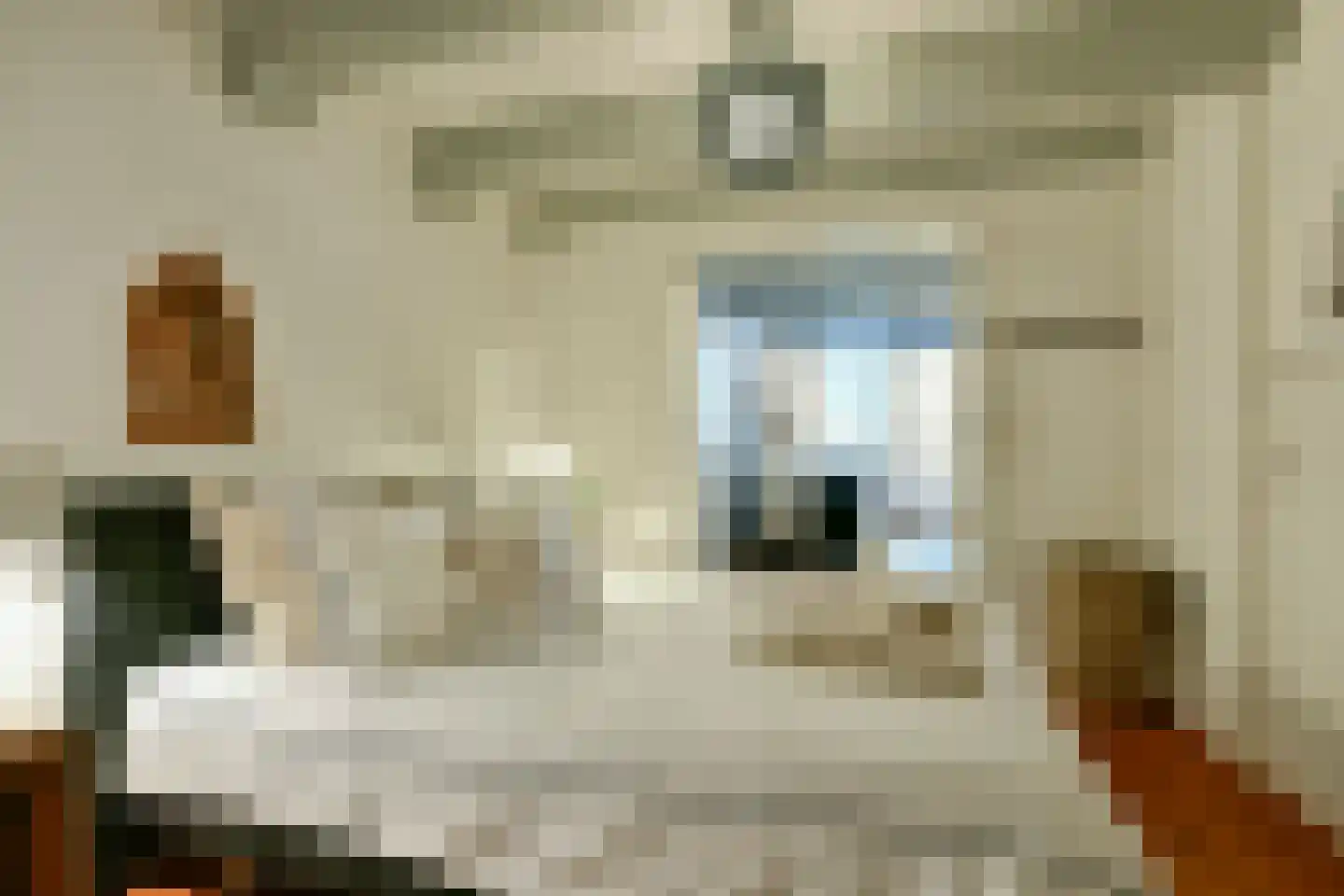 Brouwersgracht 254 E Amsterdam thumbnail 19